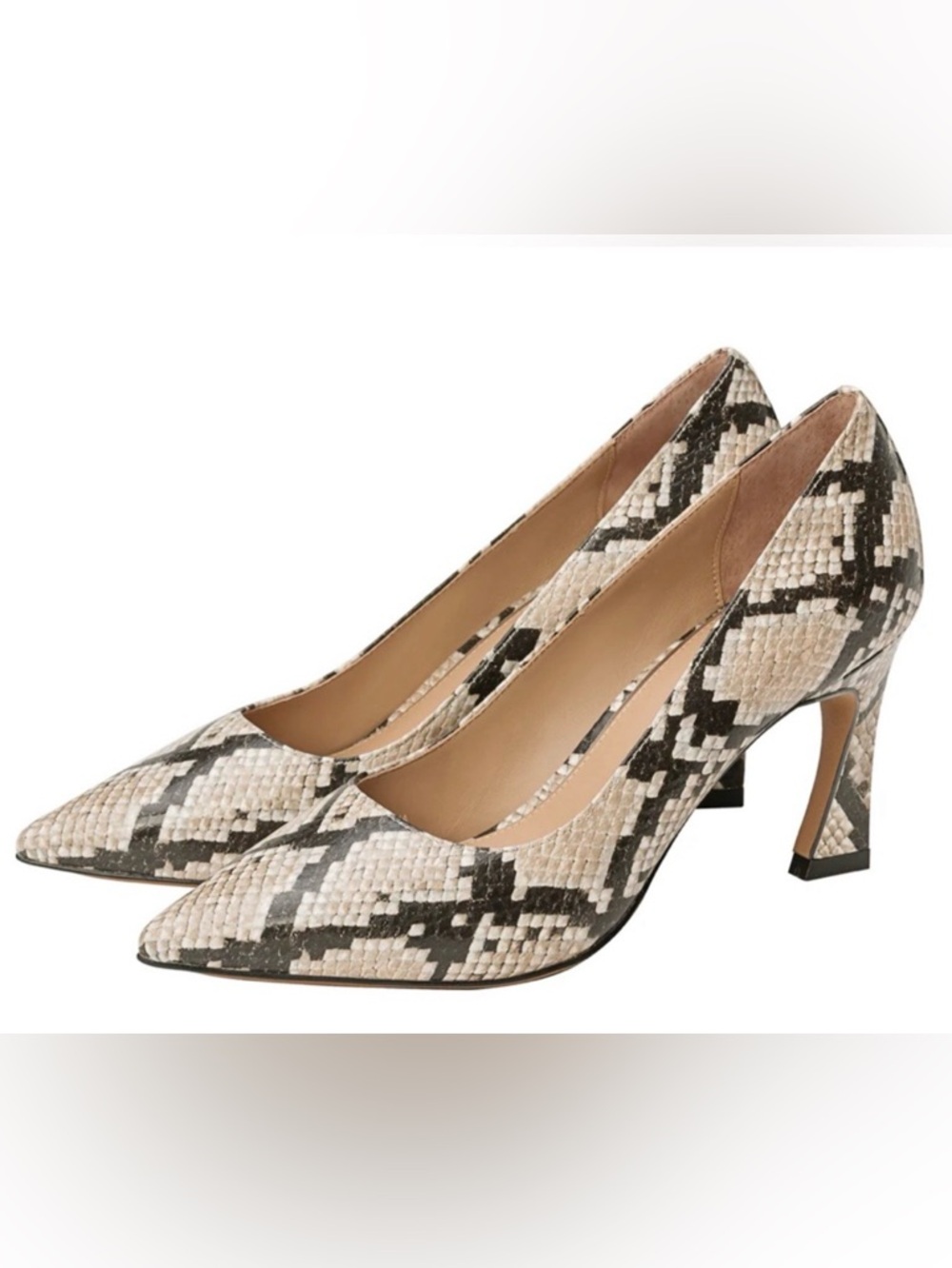 Paolo Snake-Print Pointed Toe Pumps in Beige and Black